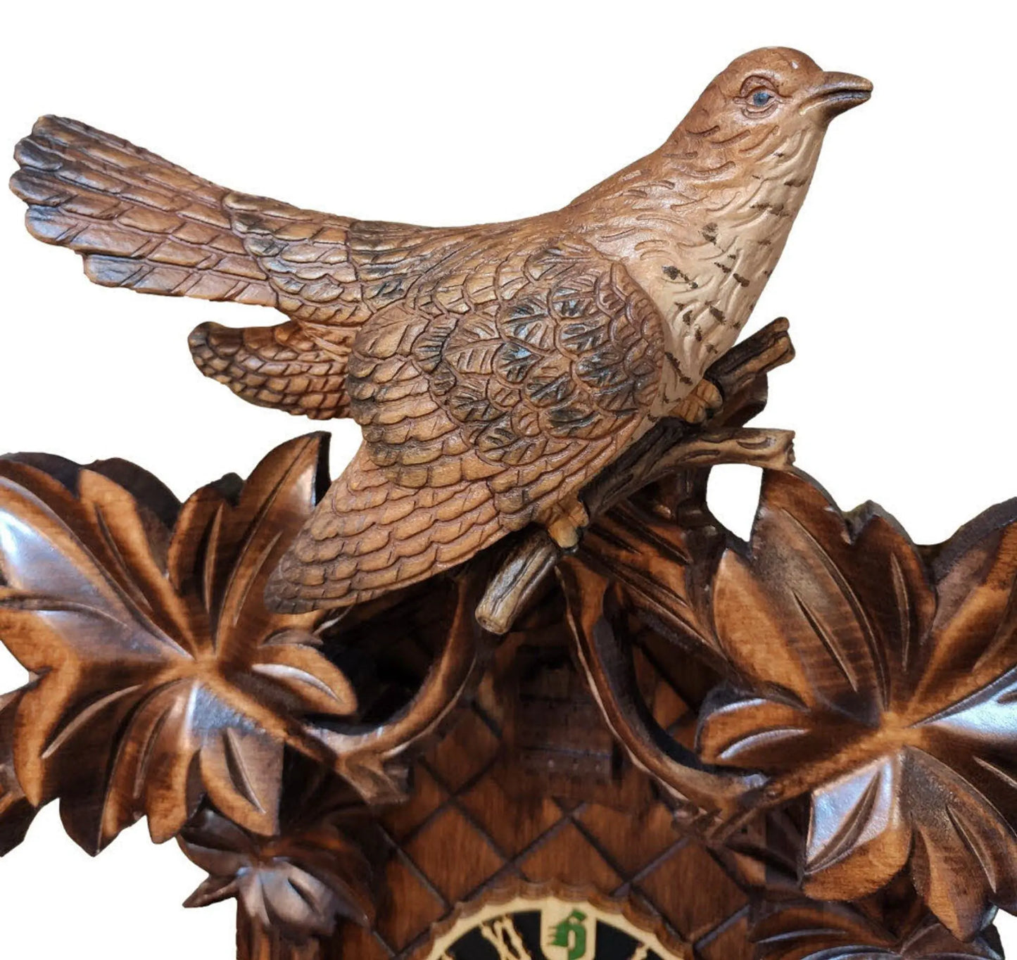 Cuckoo birds colored 8 days cuckoo clock Hoenes