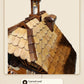 Carved roof in solid wood | Montag Steins & Clocks
