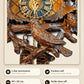1-day movement, cuckoo call, 30 x 25 cm, manual strike shut-off | Montag Steins & Clocks